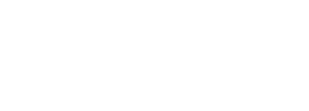 Micro Technic